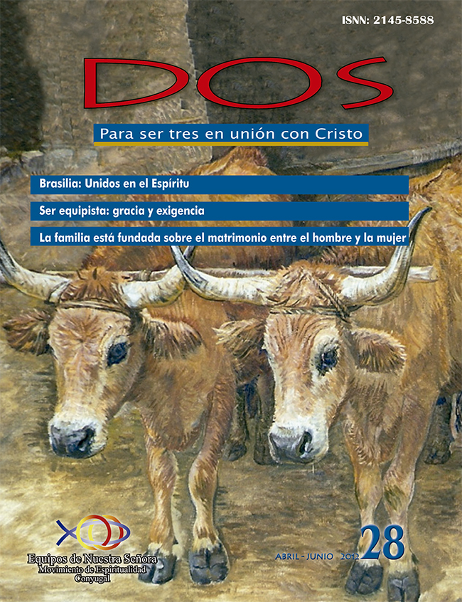 Dos No 28 Image